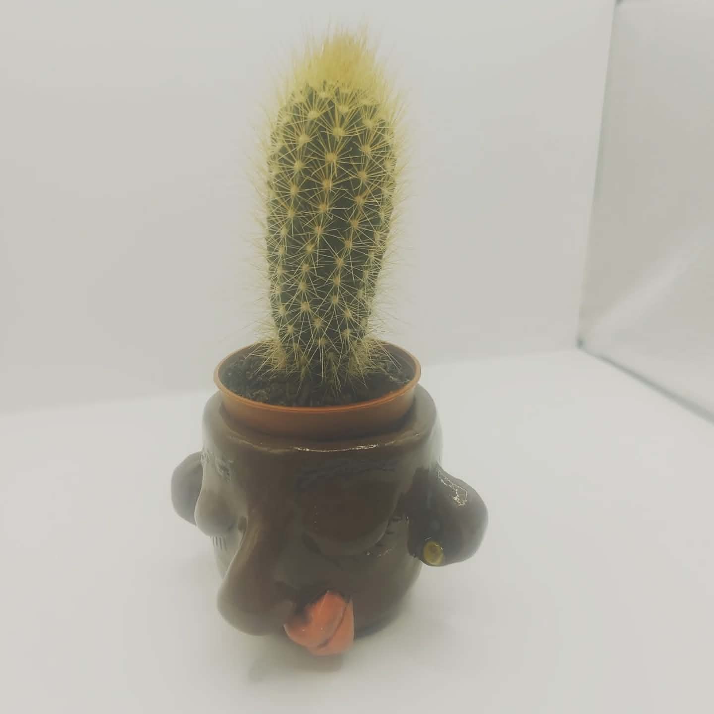 Handmade Mug Workshop (Friday 13th March 2026 6.30pm-8.30pm)