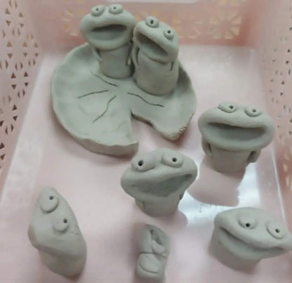 [Hawera] Mini Frogs Workshop (Saturday 23rd May 2026 1pm-2pm)