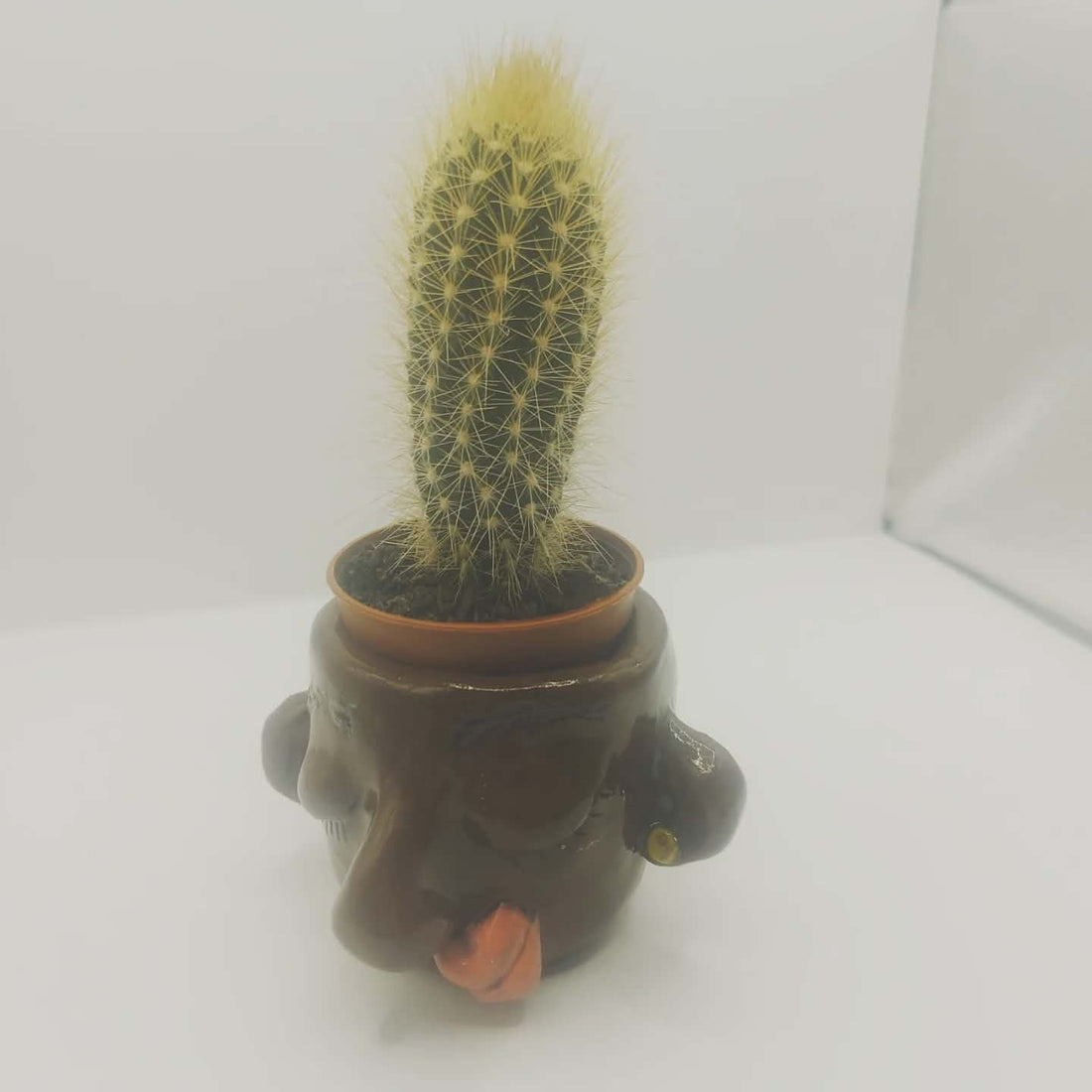 Handmade Mug Workshop (Friday 13th March 2026 6.30pm-8.30pm)