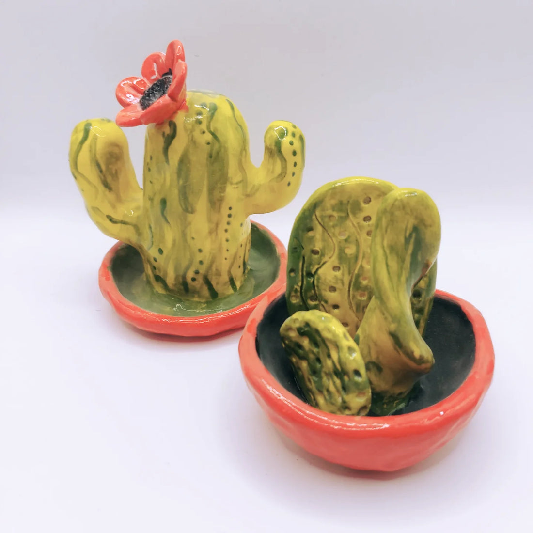 [HAWERA] Cactus &amp; Succulents Garden Workshop (Sunday 30th August 2026 10am-12pm)